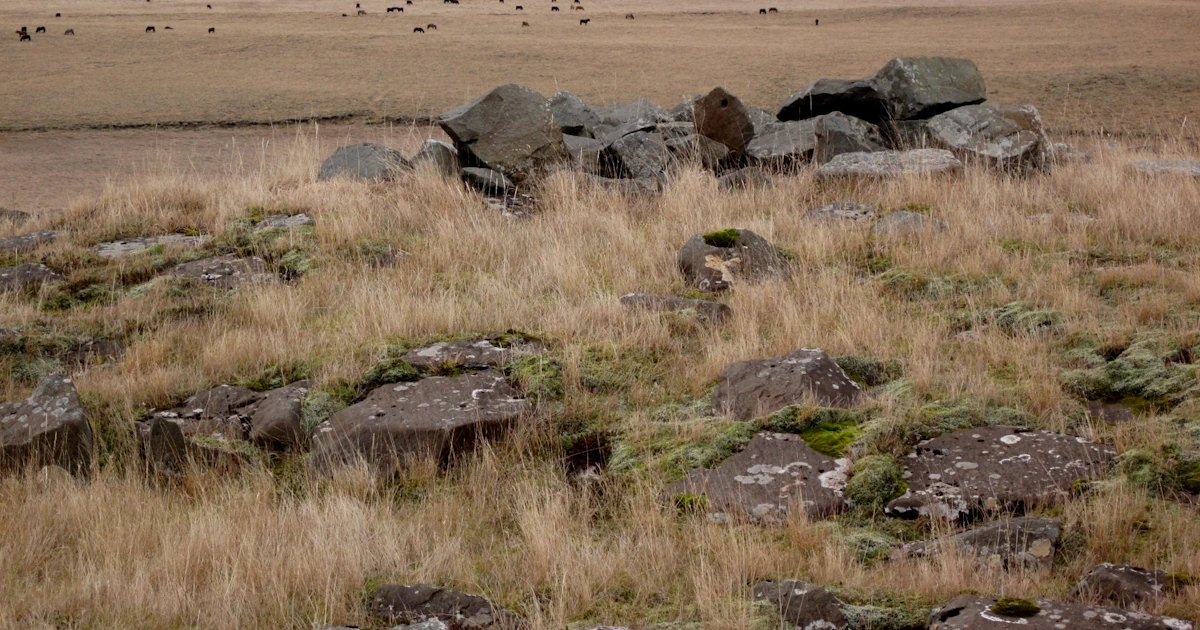 Budowa dróg a elfy – historie inwestycji wstrzymanych przez legendy