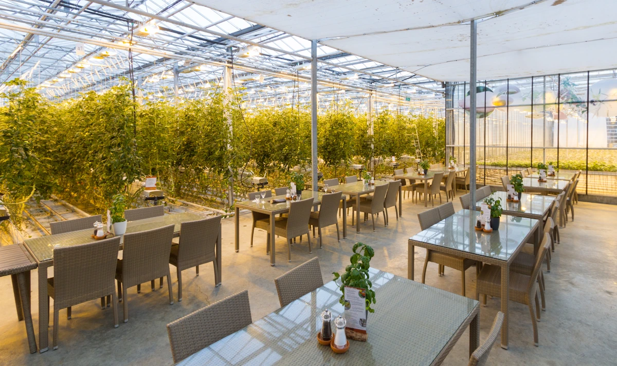 Gdzie zjeść na Złotym Kręgu? Przegląd restauracji i kawiarni (Friðheimar)